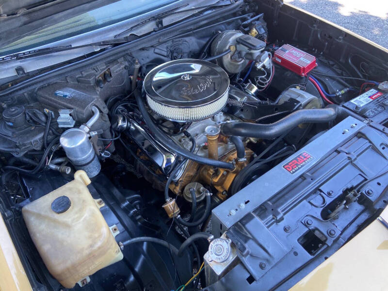 1979 Oldsmobile Cutlass Calais