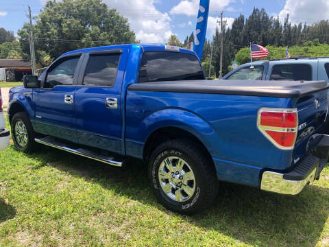 2011 Ford F-150 for sale at Palm Auto Sales in West Melbourne FL