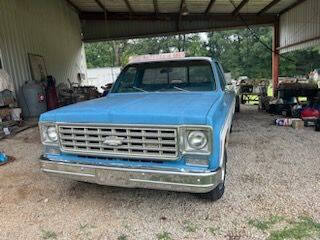 1976 Chevrolet C/K 20 Series