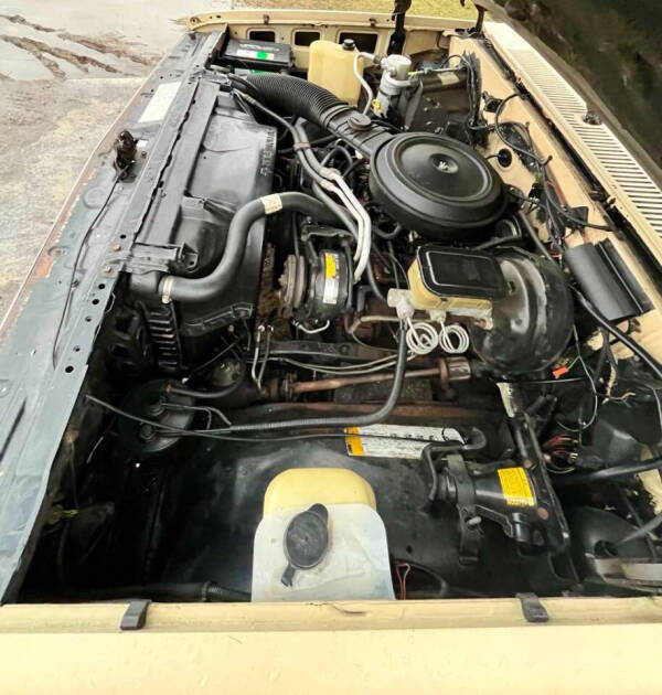 1985 Chevrolet C/K 10 Series C10 Silverado