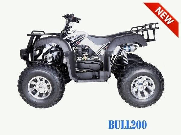 2023 TAO MOTOR BULL 200 for sale at Advanti Powersports in Mesa, AZ