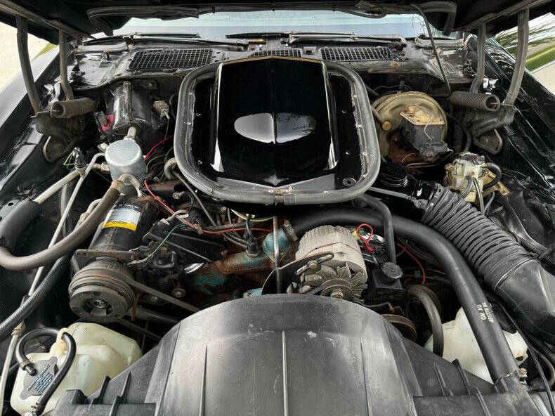 1977 Pontiac Trans Am