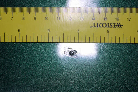 1950 Chevrolet Styleline