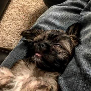 2013 RAM Ram Pickup 1500