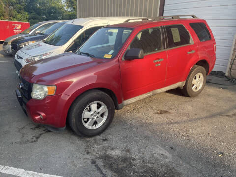 2010 Ford Escape XLT