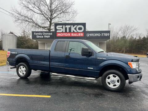 2013 Ford F-150 for sale at SITKO MOTOR SALES INC in Cedar Lake IN