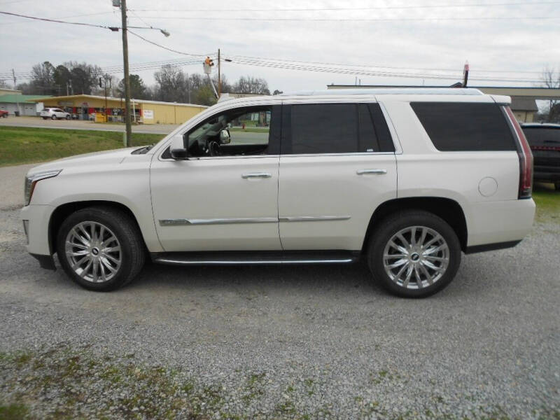 2015 Cadillac Escalade for sale at KNOBEL AUTO SALES, LLC in Corning AR