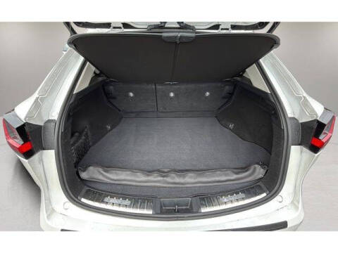 2024 Lexus NX 250 Premium