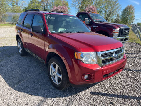 2012 Ford Escape for sale at HEDGES USED CARS in Carleton MI
