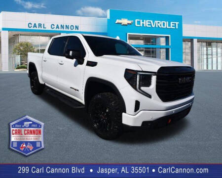 2022 GMC Sierra 1500 for sale at Carl Cannon in Jasper AL
