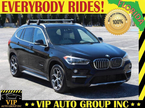2017 BMW X1 for sale at VIP Auto Group in Clearwater FL
