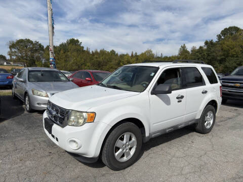 2010 Ford Escape XLT