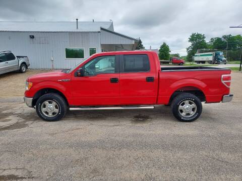 2013 Ford F-150 for sale at Steve Winnie Auto Sales in Edmore MI
