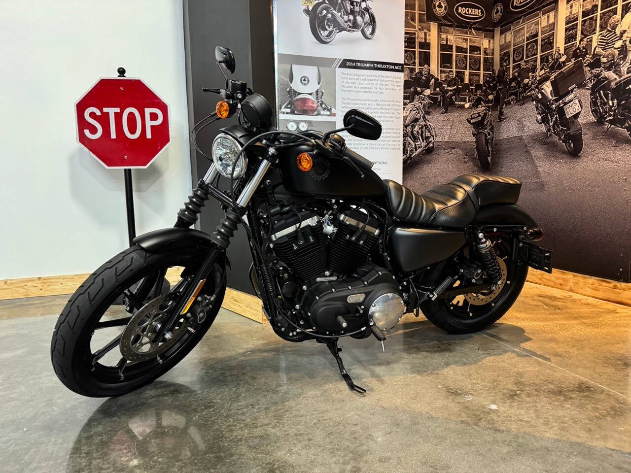 2022 Harley-Davidson XL 883 Sportster for sale at TEXAS MOTORS POWERSPORT in ORLANDO, FL