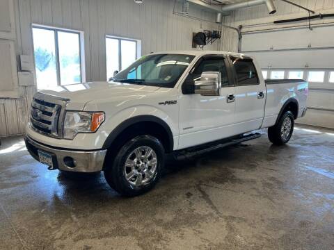 2012 Ford F-150 for sale at Sand's Auto Sales in Cambridge MN