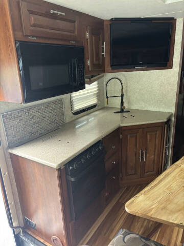 2015 Ford GEORGETOWN FOREST RIVER