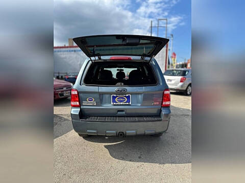 2010 Ford Escape XLT