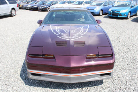 1985 Pontiac Firebird Trans Am