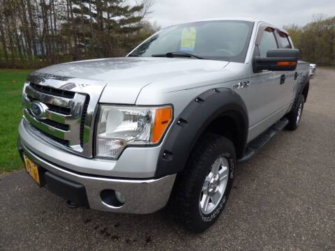 2010 Ford F-150 for sale at American Auto Sales in Forest Lake MN