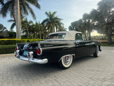 1955 Ford Thunderbird