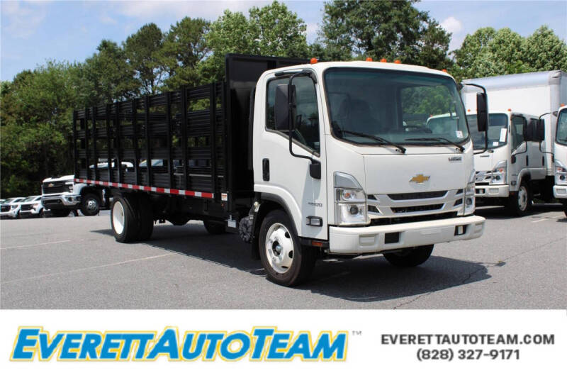 2024 Chevrolet Low Cab Forward Base's photo