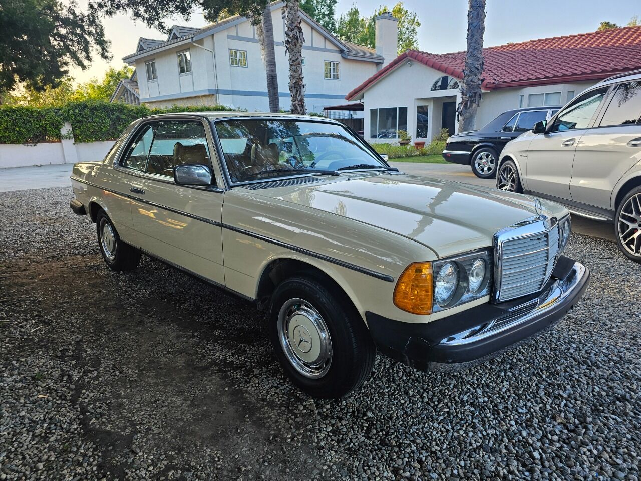 1979 Mercedes-Benz 300-Class 5