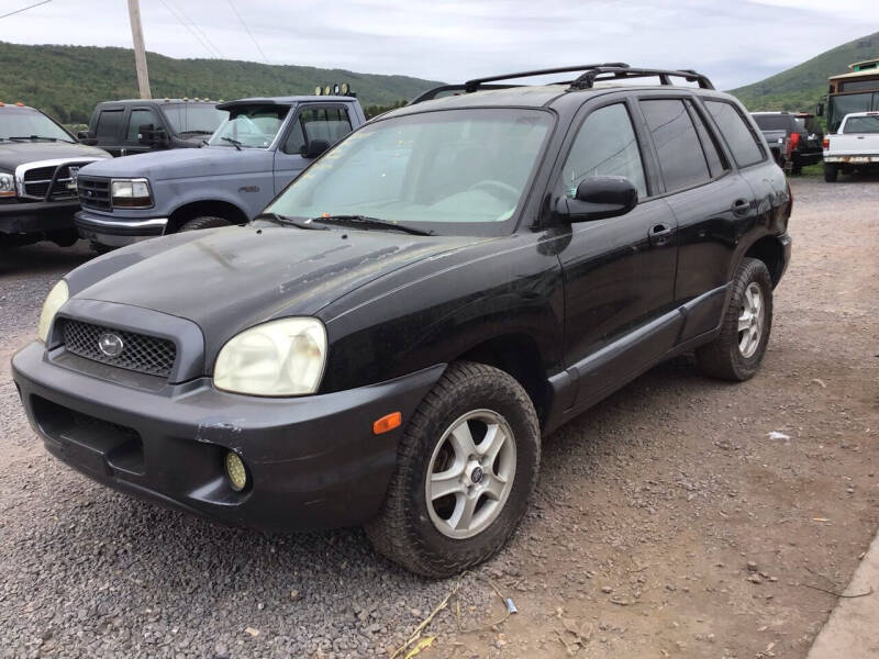2004 Hyundai Santa Fe GLS's photo