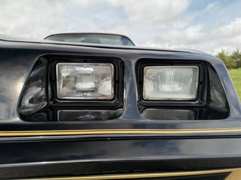 1981 Pontiac Firebird Trans Am