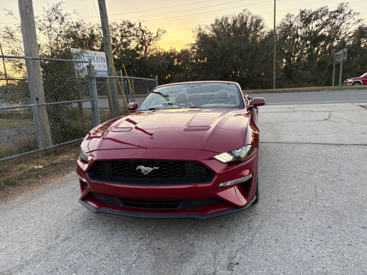 2019 Ford Mustang for sale at Hobgood Auto Sales in Land O Lakes, FL