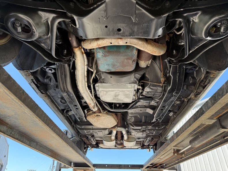 1981 Pontiac Firebird Trans Am