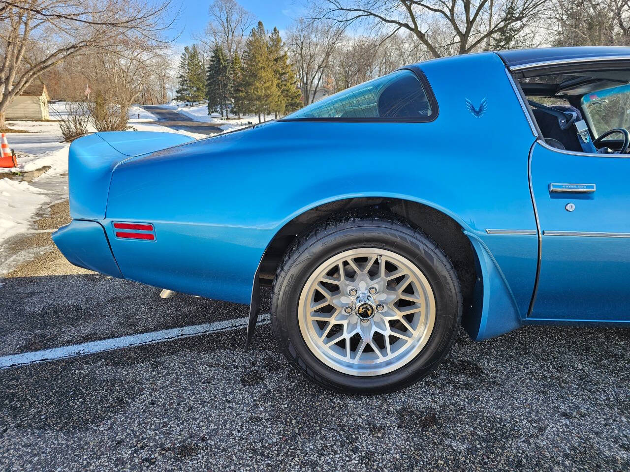 1980 Pontiac Firebird Trans Am 109