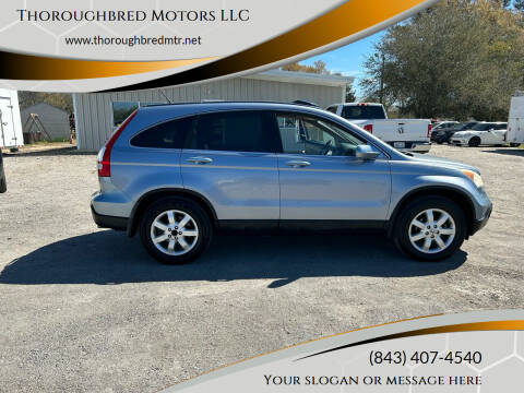 2009 Honda CR-V for sale at Thoroughbred Motors LLC in Scranton SC