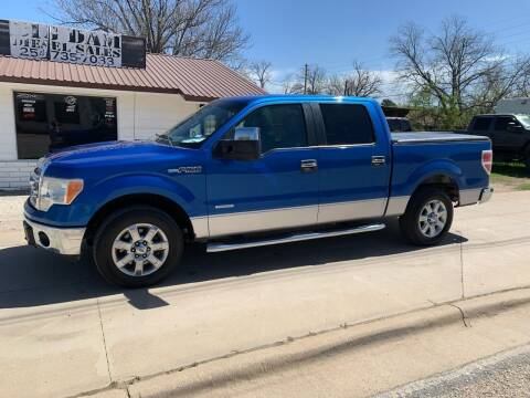 2014 Ford F-150 for sale at Big Dam Diesel Sales LLC in Cisco TX