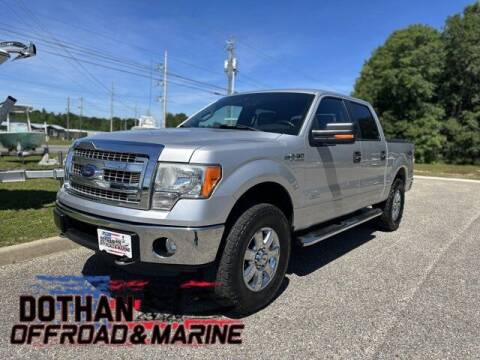 2014 Ford F-150 for sale at Mike Schmitz Automotive Group in Dothan AL