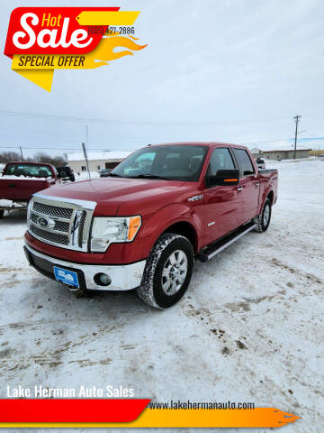 2011 Ford F-150 for sale at Lake Herman Auto Sales in Madison SD