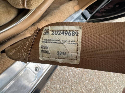 1981 Pontiac Firebird Trans Am