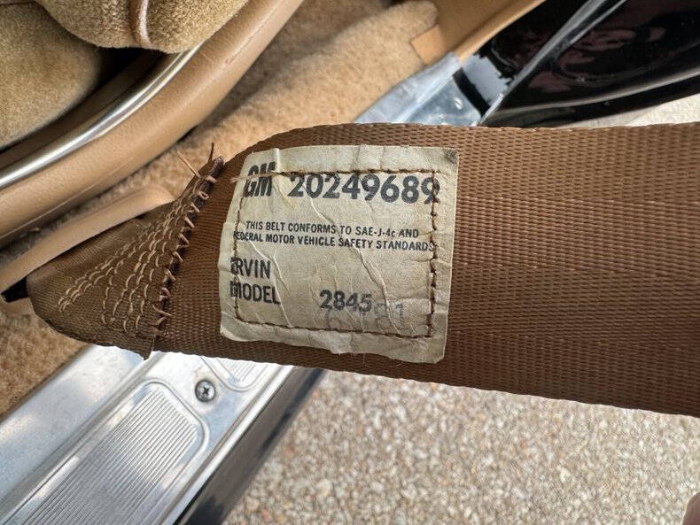 1981 Pontiac Firebird Trans Am