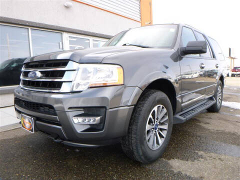 2017 Ford Expedition for sale at Torgerson Auto Center in Bismarck ND