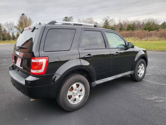 2011 Ford Escape Limited