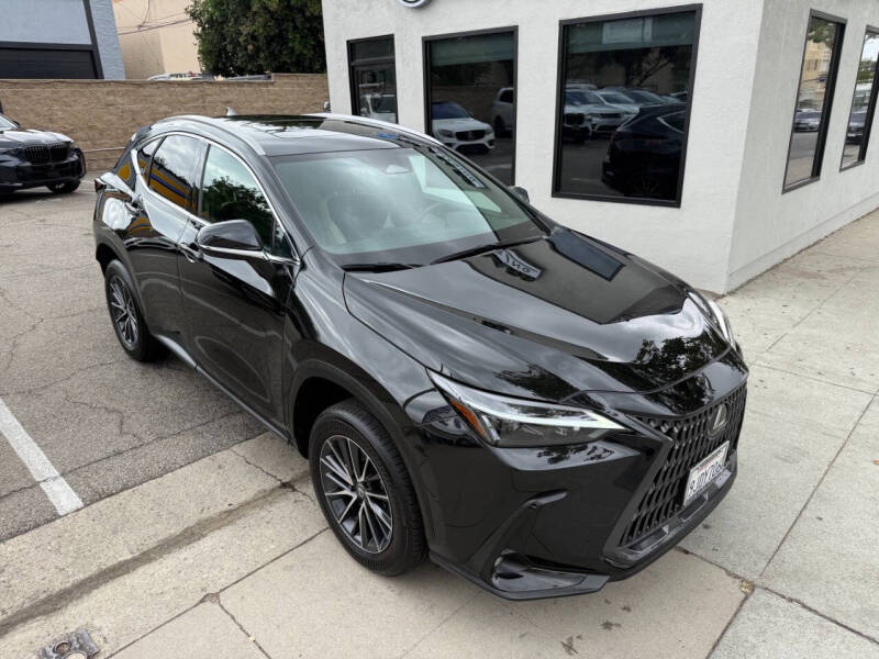 2024 Lexus NX 250