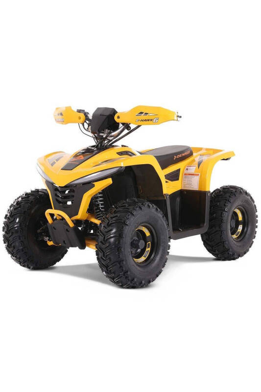 2025 Denago E-Hawk 6