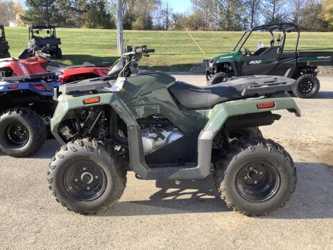 2019 Arctic Cat Alterra 300