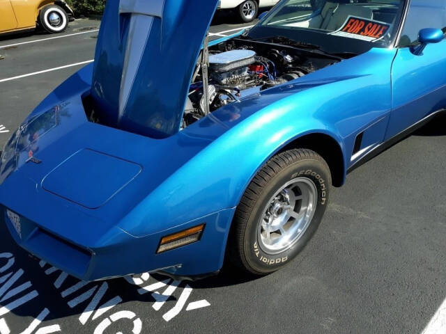 1979 Chevrolet Corvette for sale at CARuso Classics Cars in Tampa, FL