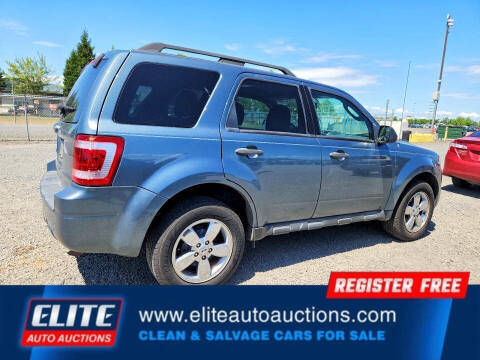 2010 Ford Escape XLT