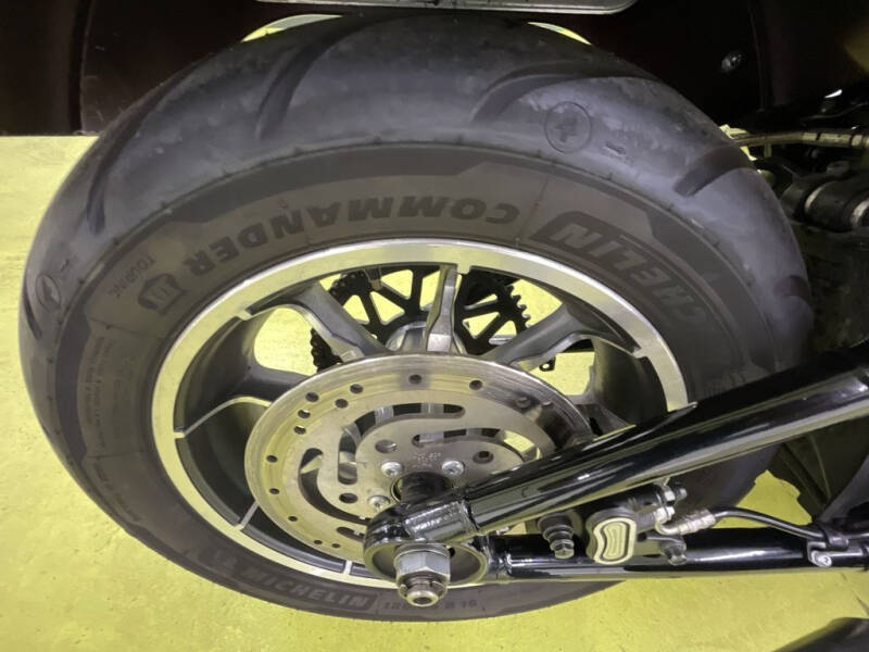 2019 Harley-Davidson Softail