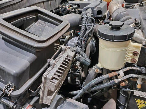 2015 International TerraStar