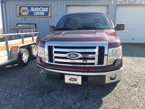 2010 Ford F-150 for sale at 309 Auto Sales LLC in Ada OH