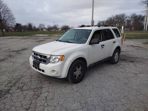 2010 Ford Escape for sale at Flag Motors in Columbus OH
