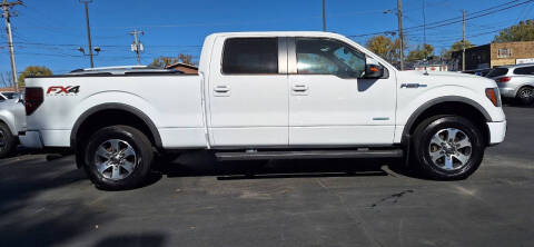 2014 Ford F-150 for sale at Village Auto Outlet in Milan IL