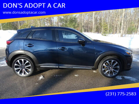 2019 Mazda CX-3 for sale at DON'S ADOPT A CAR in Cadillac MI